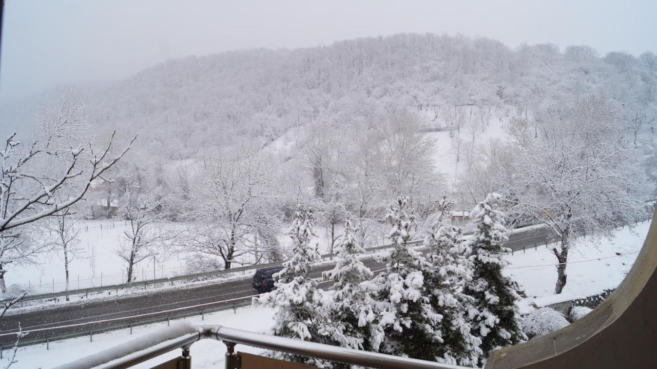 Gabala Yeddi Gozel Hotel エクステリア 写真